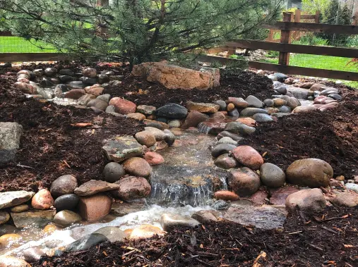 disappearing stream around pine tree front view