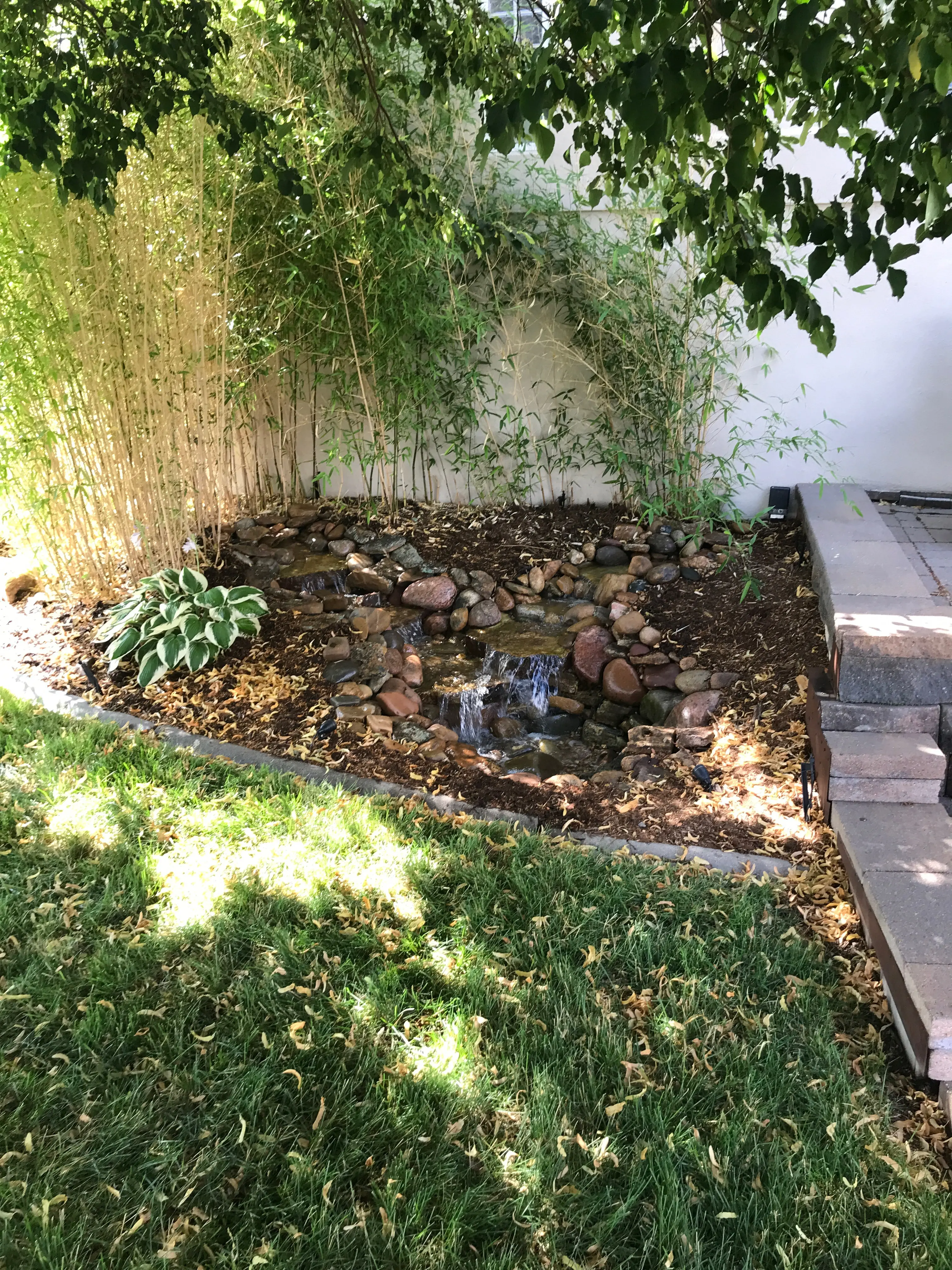 disappearing water fall in mulch with bamboo