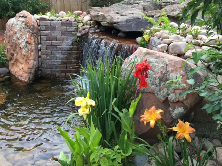 koi pond water fall with flowers