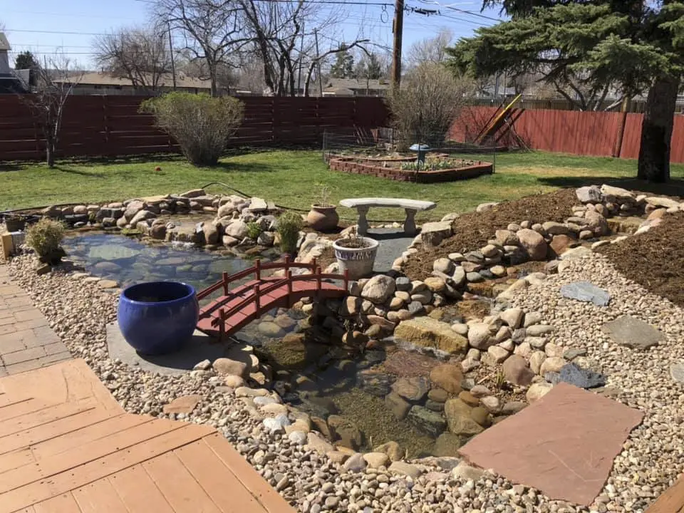 koi pond full view with wooden bridge