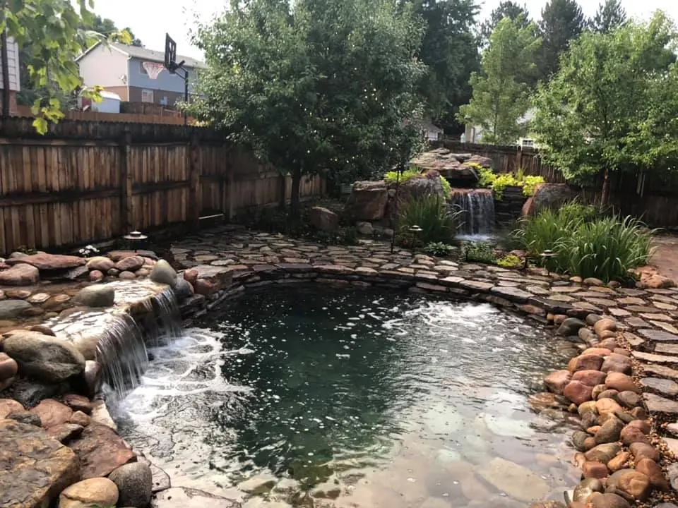 small lagoon with koi pond